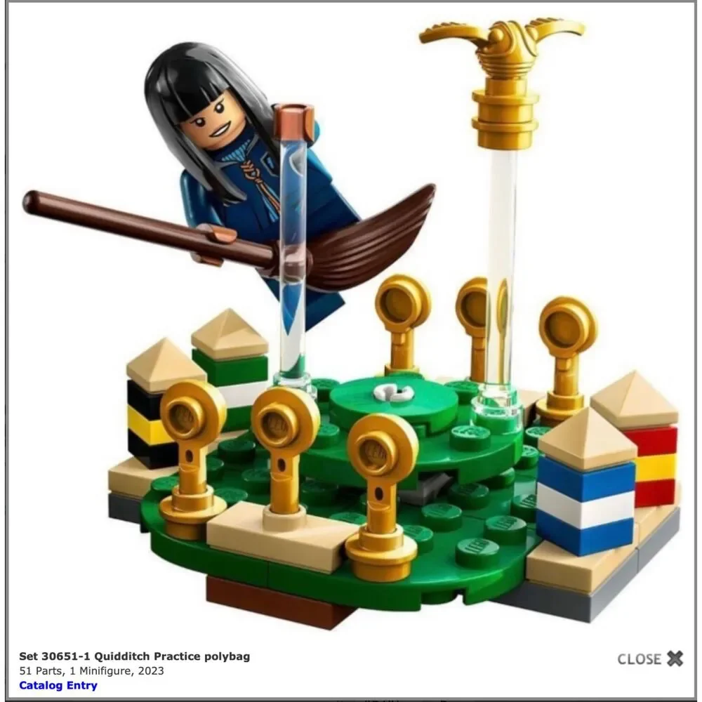 30651 Quidditch Practice polybag